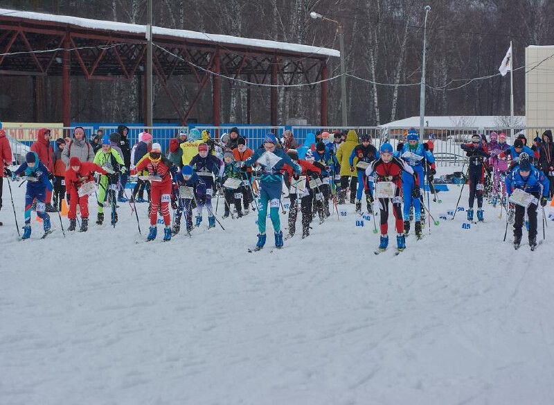 На первенстве России по спортивному ориентированию в Томске спортсмены края завоевали 11 медалей. Соревнования проходили в четырёх возрастных группах.